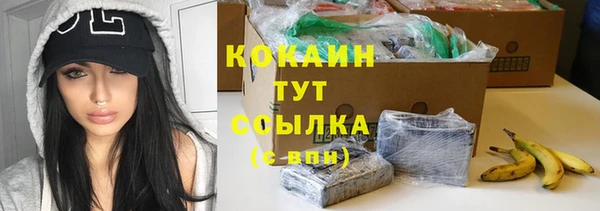 твердый Абаза