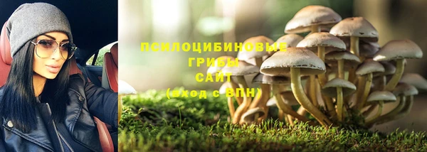 твердый Абаза