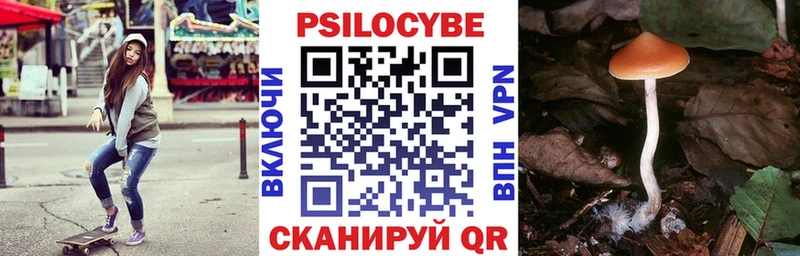 hydra рабочий сайт  Кировград  Псилоцибиновые грибы Psilocybine cubensis  где продают  